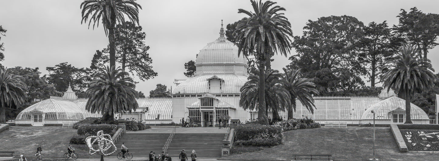 Mug - Conservatory of Flowers (Black & White)