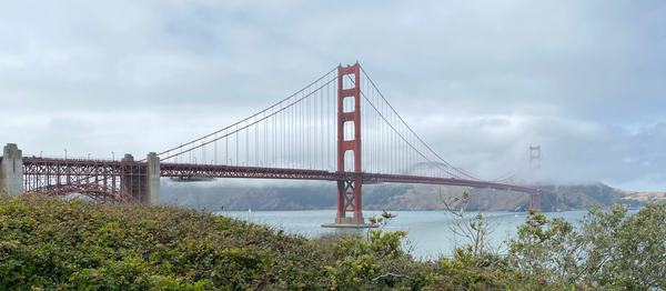 Guy Dauerty Photography