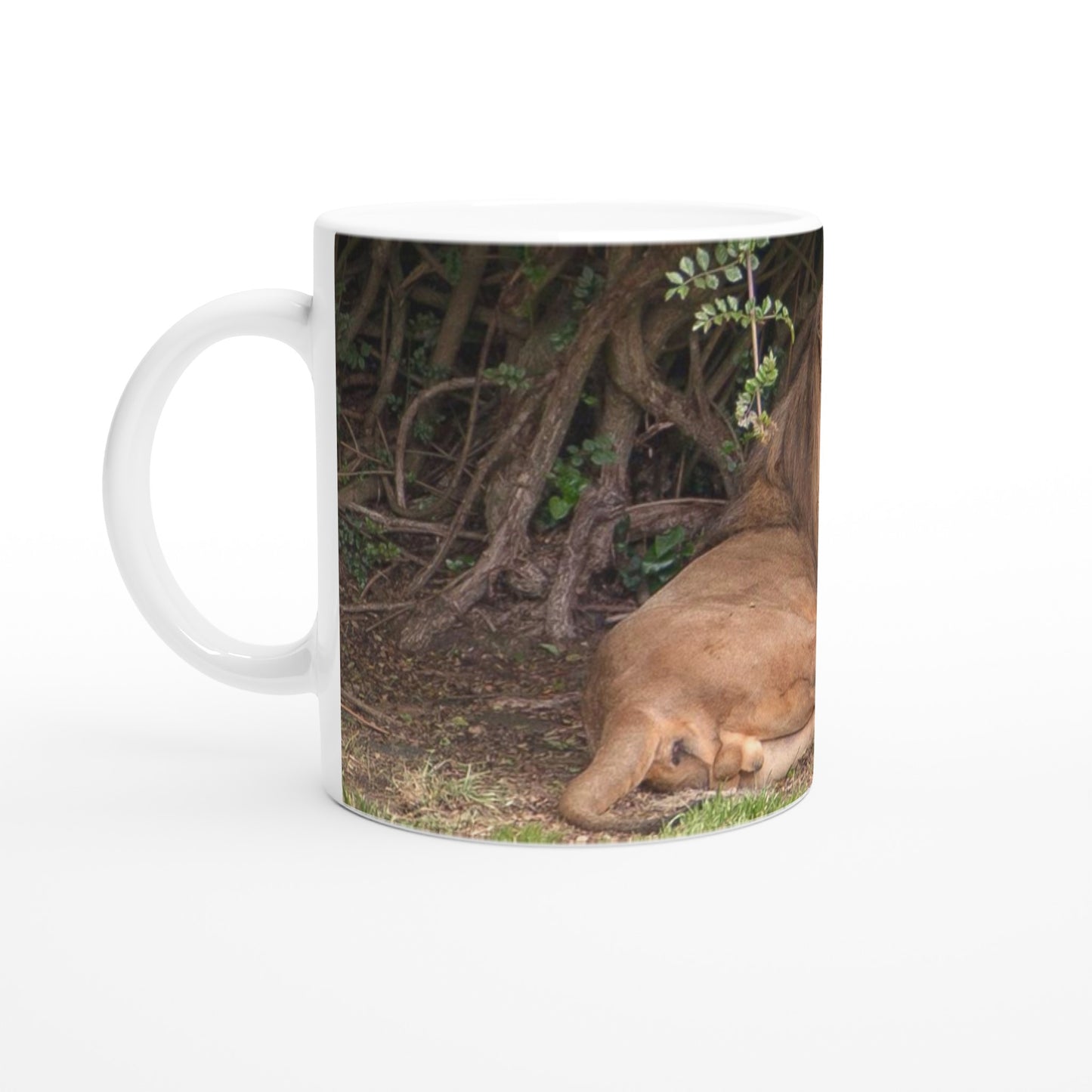 e886a830-2c87-4c21-a6a3-84fad9c704c5